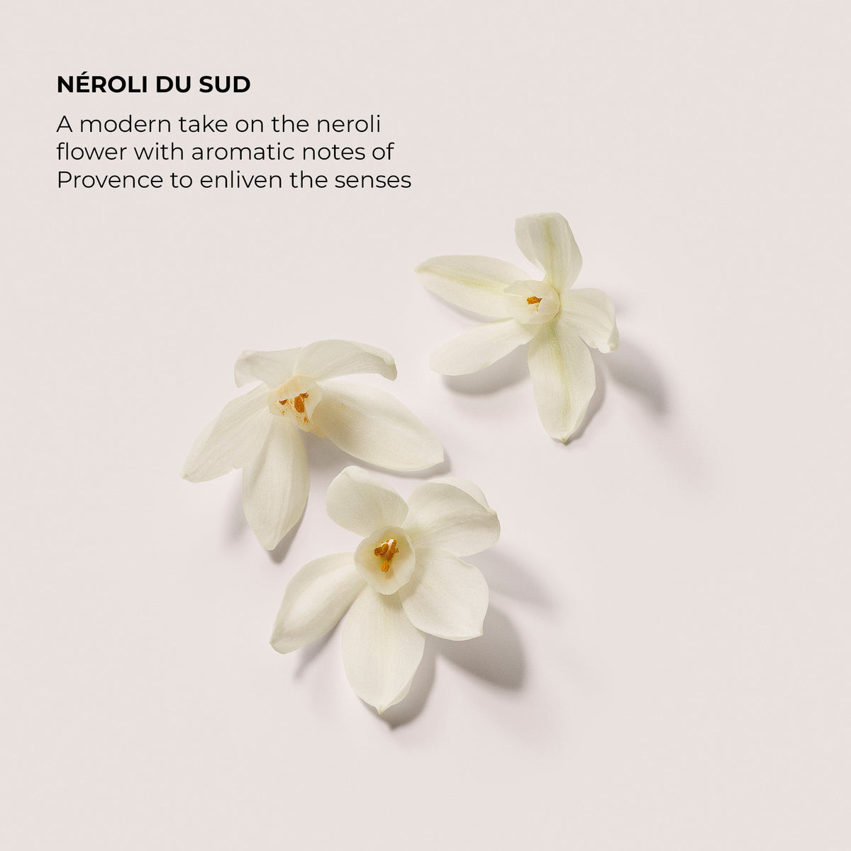 Néroli du Sud Exfoliating Body Wash